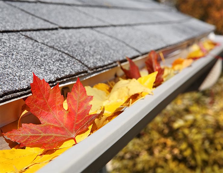 fall house chores