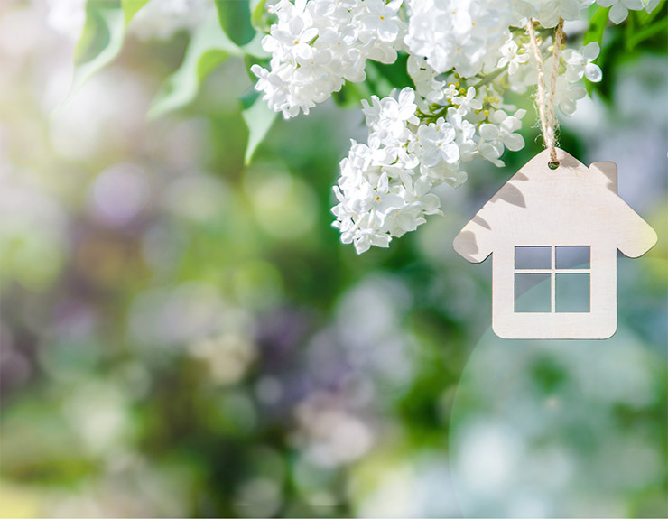 house in spring