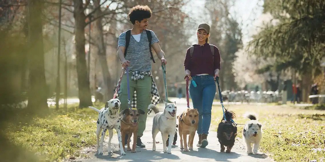 walking couple with pets