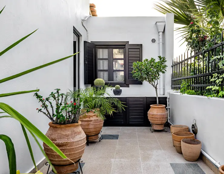 patio with plants