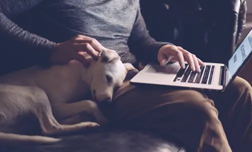 Man working on a laptop, pet sitting near him.
