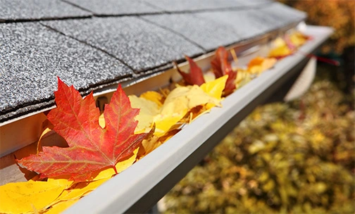 Autumn leaves on house