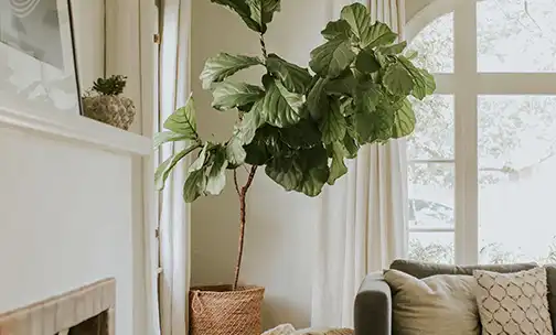 Couple discussing buying a home