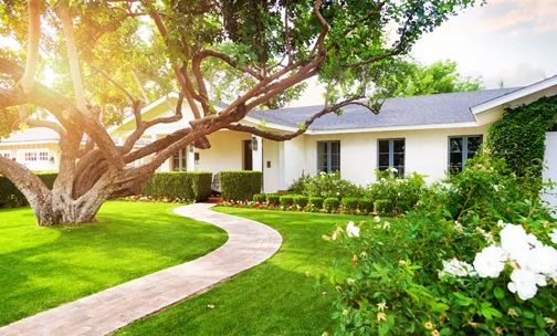 Front yard landscape of a house
