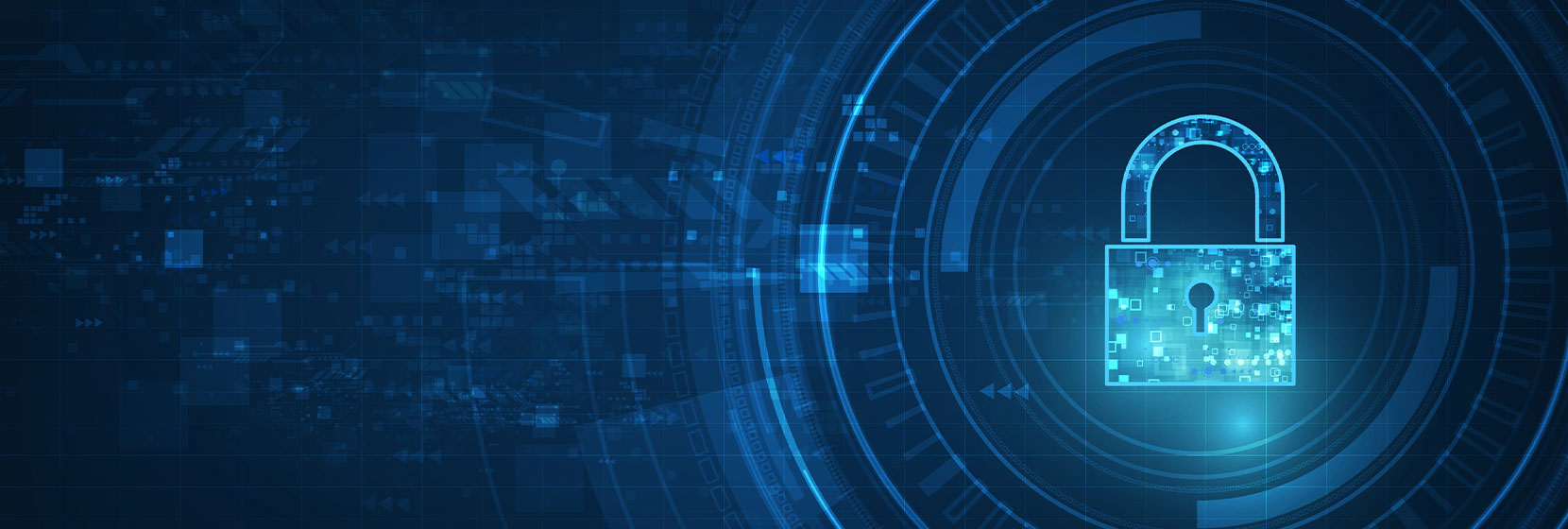 website security