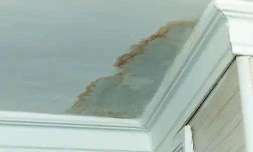 Water damaged walls